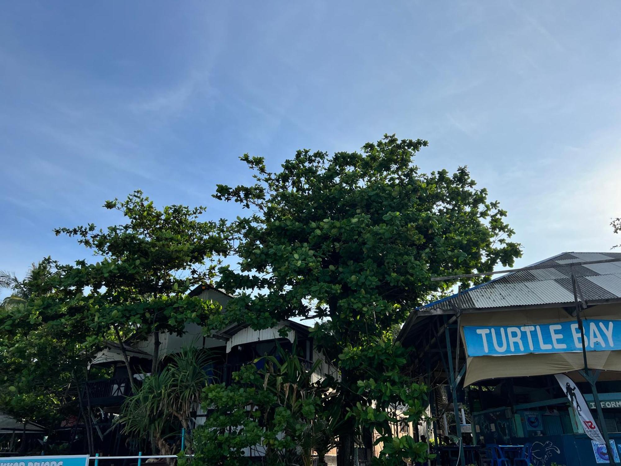 Ohlala Guesthouse Perhentian-Inseln Exterior foto